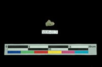 藏品(銀星石)的圖片